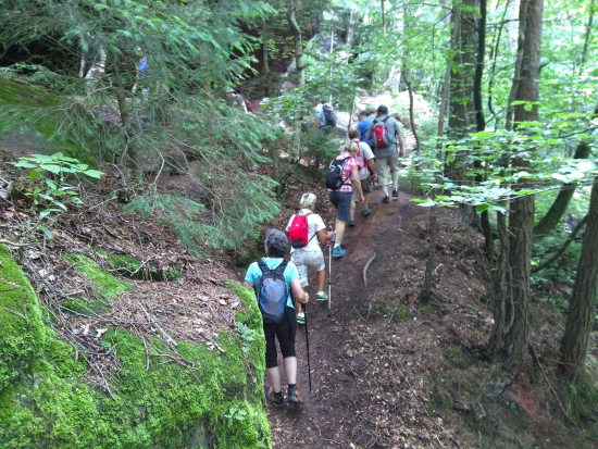 Felsenwald-Tour_Juni_2021